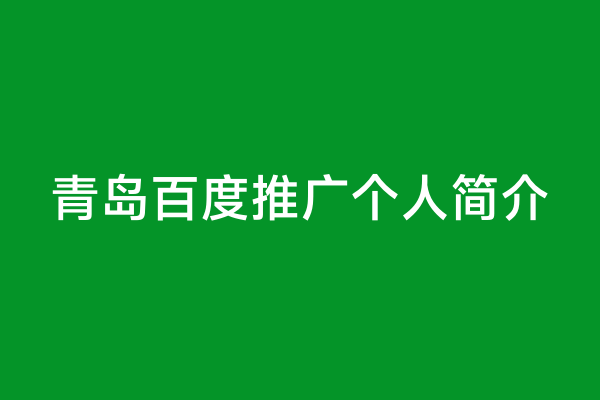 青岛百度推广个人简介